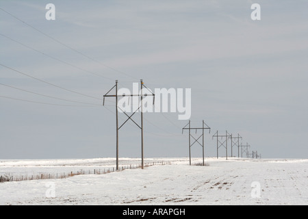 Les lignes de transport d'énergie électrique sur des prairies d'hiver Banque D'Images