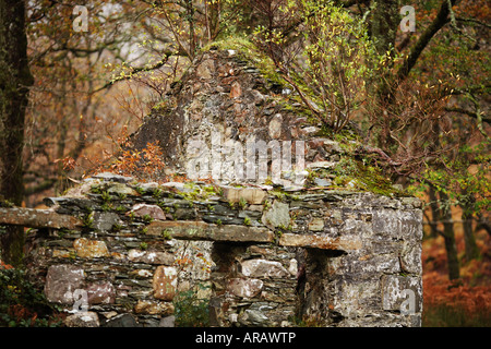 Ancienne maison en pierre dans le Connemara Comté de Galway République d'Irlande Europe Banque D'Images