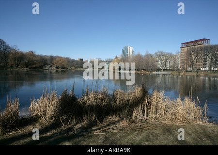 Central Park New York USA Banque D'Images