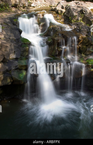 Ho'opi sur cascade de Kaua'i, Hawaii Banque D'Images