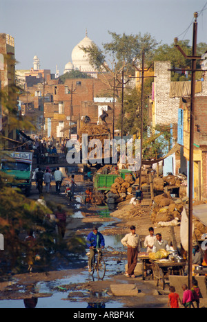 Bidonvilles à moins d'un kilomètre de l'hôtel Taj Mahal, Agra, Uttar Pradesh, Inde Banque D'Images