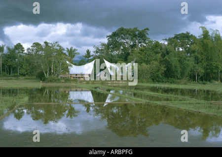 Maisons Batak, le Lac Toba, au nord de Sumatra, Sumatra, Indonésie, Asie du Sud, Asie Banque D'Images