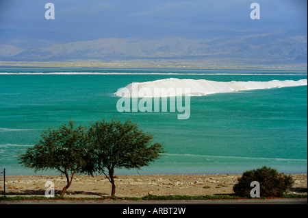 Extrait du sel de mer peu profonde à l'extrémité sud de la Mer Morte près de Ein Boqeq, Israël, Moyen Orient Banque D'Images