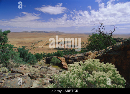 Vue de Yourambulla RockShelter près de Hawker, au sud de la chaîne de Flinders en Australie méridionale, Australie Banque D'Images