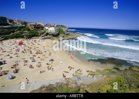 Plage de Tamarama, fashional au sud de Bondi, banlieue Est de Sydney, Nouvelle Galles du Sud, Australie, Pacifique Banque D'Images