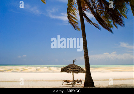 Palmiers et parasols en chaume sur la plage de Paje, Zanzibar, Tanzanie, Afrique orientale, Afrique du Sud Banque D'Images