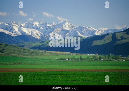 Tersey Alatoo montagnes par le lac Issyk-Koul, Tien Shan (Tian Shan), Kirghizstan (Kirghizistan), FSU, l'Asie centrale, d'Asie Banque D'Images