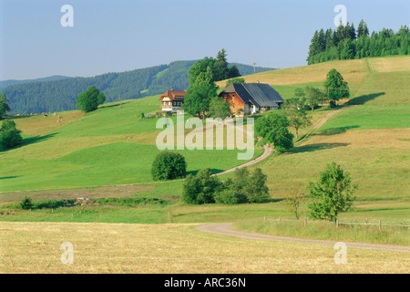 Scène dans la Forêt-Noire (Schwarzwald), Baden-Wurttemberg, Germany, Europe Banque D'Images