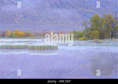 Laponia Site du patrimoine mondial, Laponie, Finlande, Scandinavie, Europe Banque D'Images