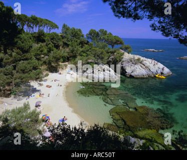 Paysage typique du Costa Brava à proximité de S'Agaro, Costa Brava, Catalogne (Catalogne) (Catalogne), en Espagne, en Europe Banque D'Images