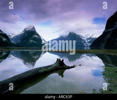 Réflexions et vue sur Milford Sound à Mitre Peak, 1629m, Milford Sound, Fiordland, île du Sud, Nouvelle-Zélande, Pacifique Banque D'Images