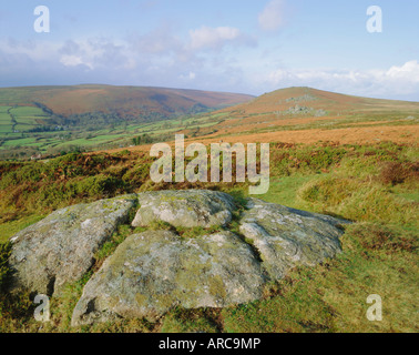 Widecome-dans-la-lande, Dartmoor, dans le Devon, England, UK Banque D'Images