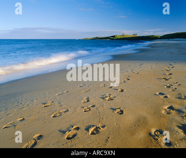 Château de Dunstanburgh (National Trust), la baie de Embleton Northumberland, Angleterre Banque D'Images