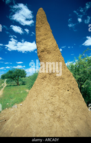 Termitière près de Okahandja, Namibie, Afrique Banque D'Images