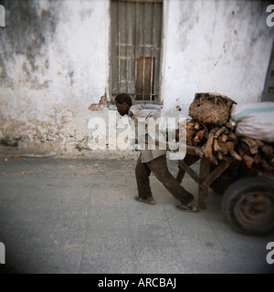 Man pulling panier le long de rue étroite, Stone Town, Zanzibar, Tanzanie, Afrique orientale, Afrique du Sud Banque D'Images