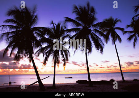 Palmiers en silhouette à l'aube, Jambiani, Zanzibar, Tanzanie, Afrique orientale, Afrique du Sud Banque D'Images