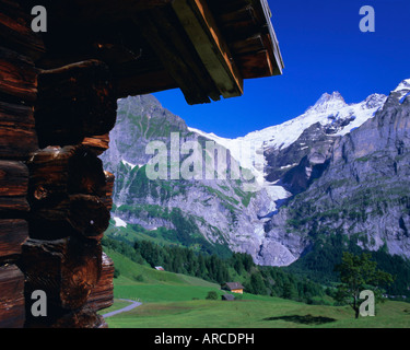 Bort, le Schreckhorn et le haut du Glacier de Grindelwald encadrée par hut, Grindelwald, Oberland Bernois, Alpes Suisses, Suisse Banque D'Images