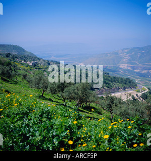 Umm Qais le long de la mer de Galilée, en Jordanie, Moyen-Orient Banque D'Images