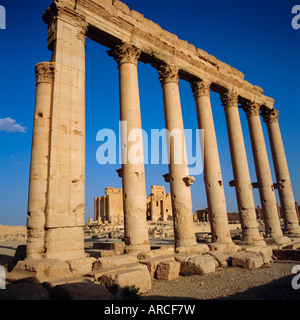 Temple romain de Bel, AD 45, Palmyre, en Syrie, au Moyen-Orient Banque D'Images