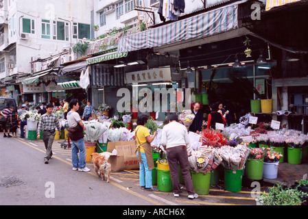 Marché aux Fleurs, Mong Kok, Kowloon, Hong Kong, Chine, Asie Banque D'Images