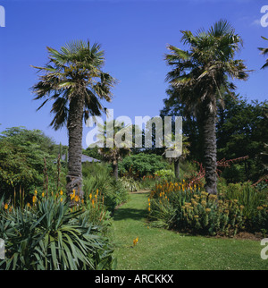 Botanic Gardens, Ventnor, île de Wight, Angleterre, Royaume-Uni, Europe Banque D'Images