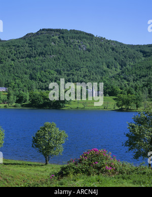 Vue sur le Loch Achray à un Tigh Mor, Trossachs, Stirling (Central), Écosse, Royaume-Uni, Europe Banque D'Images