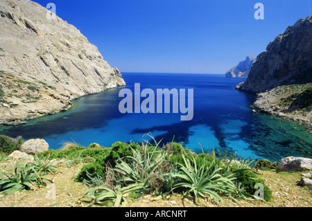 Près de la baie de Puerto Pollensa, Mallorca (Majorque), Iles Baléares, Espagne, Europe Banque D'Images