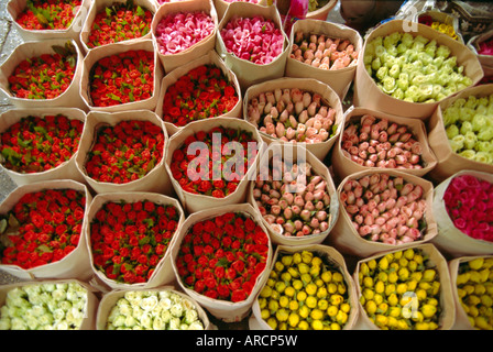 Fleurs à vendre, marché, Bangkok, Thaïlande Banque D'Images