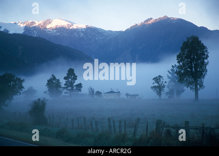 Farm dans le brouillard en dessous de Fox Glacier, Westland, côte ouest, île du Sud, Nouvelle-Zélande, Pacifique Banque D'Images