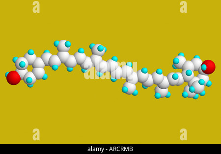 Le modèle moléculaire de la lutéine (C40H56O2) L'un des plus de 600 caroténoïdes naturels connus. Banque D'Images