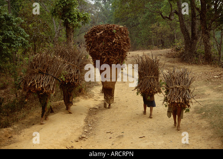 Les femmes et les enfants de marcher sur une route de campagne, portant des paquets de bois de chauffage, Chautara, au nord de Katmandou, Népal, Asie Banque D'Images
