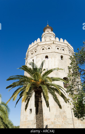La Torre del Oro, le quartier d'El Arenal, Séville, Andalousie, Espagne (Andalousie), Europe Banque D'Images