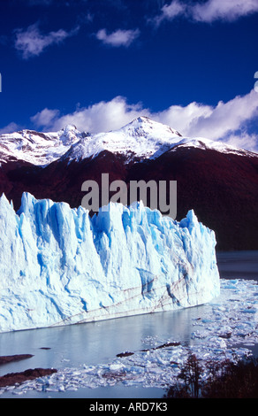 La borne du Glacier Perito Moreno, Parque Nacional Los Glaciares, en Patagonie, Argentine. Banque D'Images