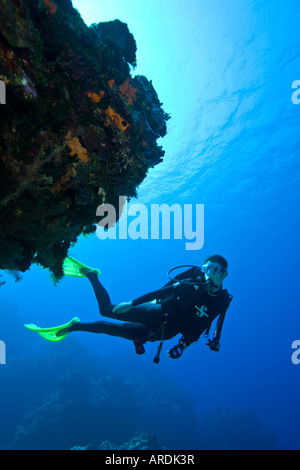 Sous-marin plongeur femelle Palencar Cozumel mexique Jardins Banque D'Images