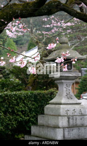 Temple Nanzen-ji (Nanzenji), Kyoto, Japon Banque D'Images