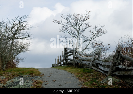 Scène artistique d'une rare beauté à l'automne de la Blue Ridge de jaune, rouge, orange laisse rail split clôture du journal, les Appalaches Banque D'Images