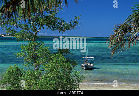 Le boutre amarré au large de la plage tropicale en face de la Pole Pole Mafia Island Lodge Tanzanie Banque D'Images