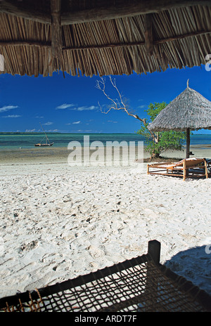 L'idyllique plage tropicale en face de la Pole Pole Mafia Island Lodge Tanzanie Banque D'Images