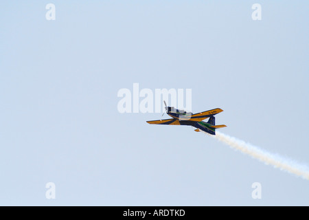 Esquadrilha da Fumaça, T-27 Tucano EMBRAER EMB-312 Banque D'Images