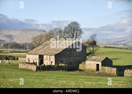 Domaine grange à Burtersett, près de Hawes, Yorkshire Dales National Park Banque D'Images