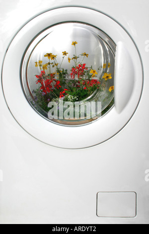 Des fleurs colorées à l'intérieur de machine à laver Banque D'Images
