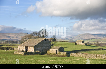 Domaine des granges à Burtersett, près de Hawes, Yorkshire Dales National Park Banque D'Images