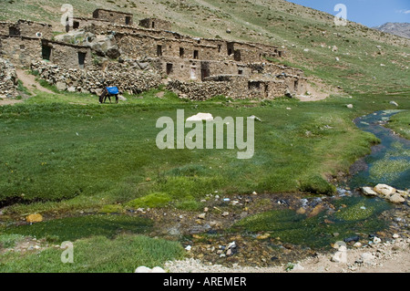 Mule en ruines du village près du parc national de Toubkal, Atlas, Maroc Banque D'Images