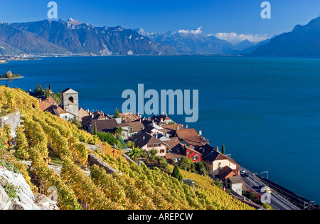 Le village de St Saphorin dans la région de Lavaux, Suisse Banque D'Images