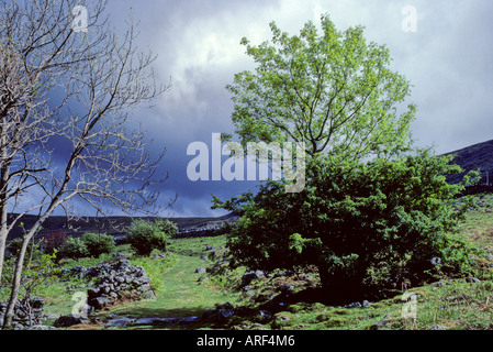 Les nuages de tempête à Llanbedr, au nord du Pays de Galles, Royaume-Uni Banque D'Images