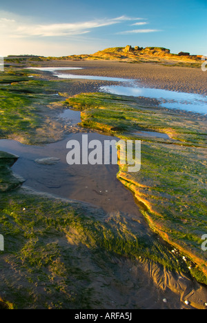 La lumière d'Or chaud sur peu d'oeil avec l'Île Hilbre dans la distance, West Kirby Péninsule de Wirral Banque D'Images