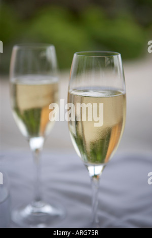 Champagne Banque D'Images
