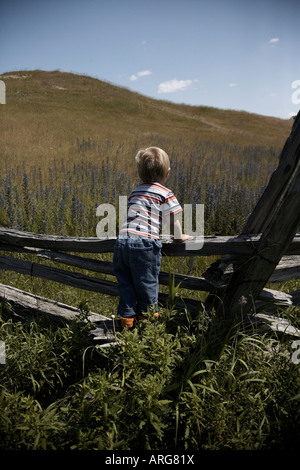 Boy looking over Fence Banque D'Images