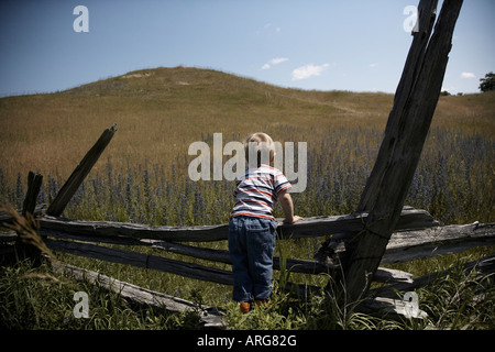 Boy looking over Fence Banque D'Images