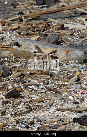 "Les déchets échoués sur la plage, la côte du Pacifique, San Francisco" Banque D'Images